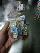 Mẹo đơn giản để đuổi lũ chuột đáng ghét tránh xa bạn
