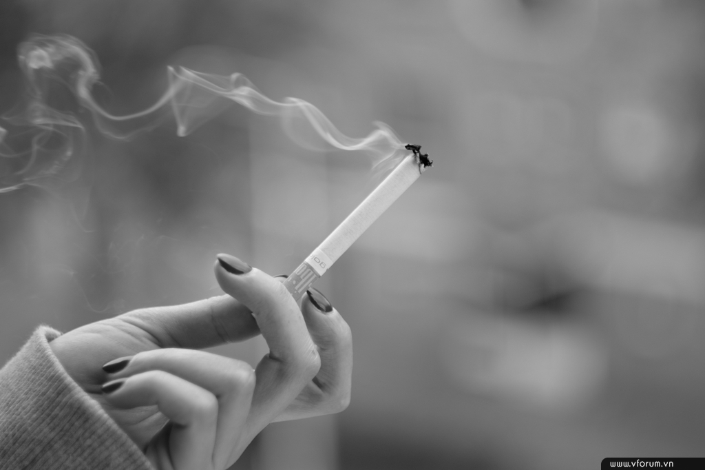 Giải pháp khử mùi hôi thuốc lá hiệu quả.