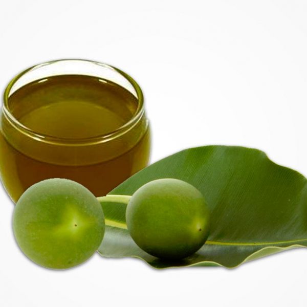 Bí quyết giúp giảm đau rát, trị sẹo, trị bỏng hiệu quả tại nhà cực đơn giản với dầu mù u.