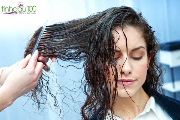 Hướng dẫn sử dụng Xịt dưỡng tóc 5D sao cho hiệu quả - Tinhdau100